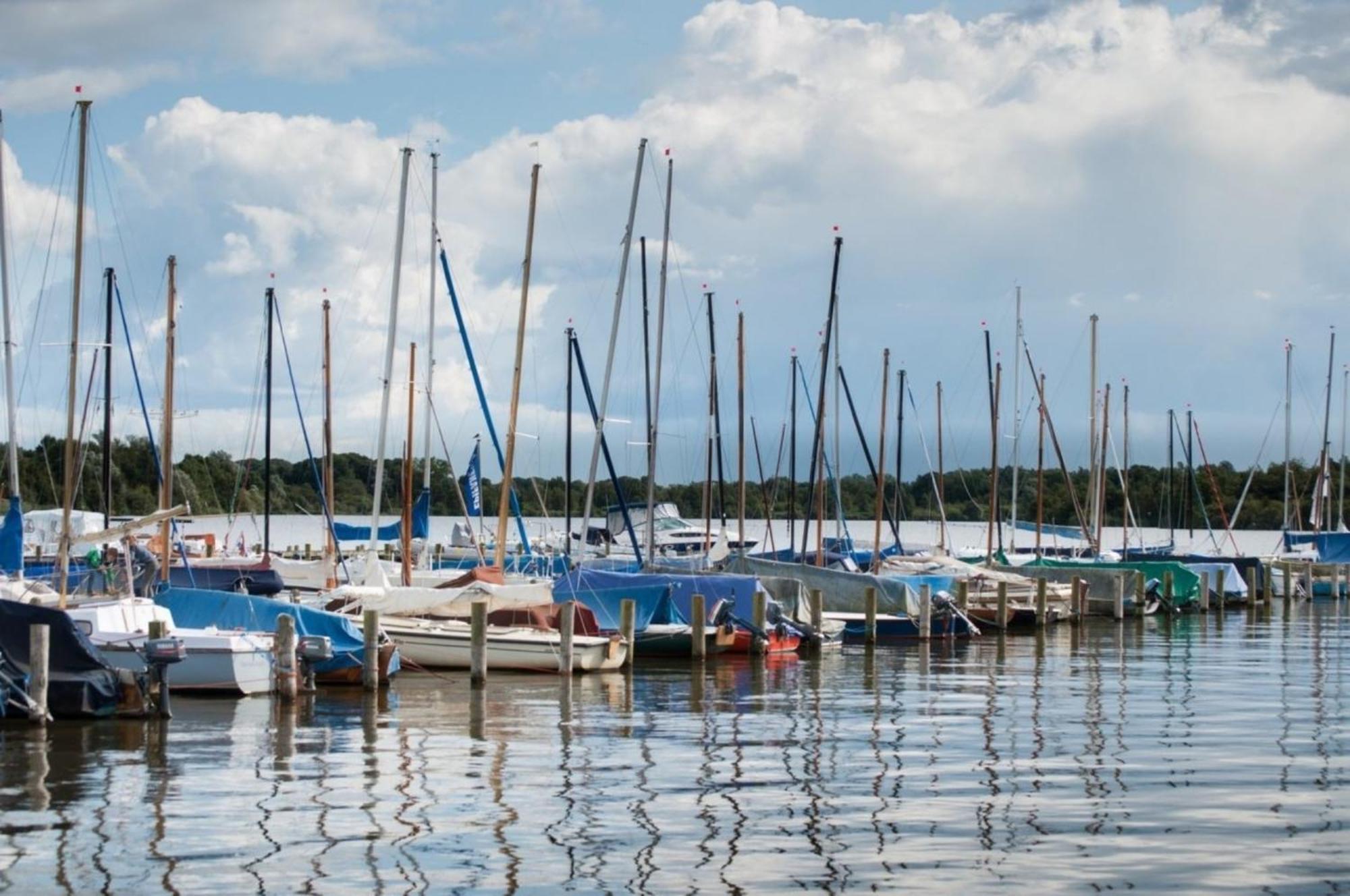 Grosse Nordseewelle Ohne Hund Norden Esterno foto